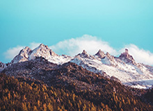 世界杯中国官方网站-【热身赛】瓦尔德施密特致胜球 德国主场1比0胜捷克